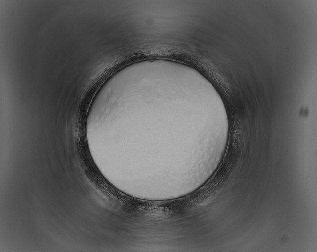 X0000089930683200707131432