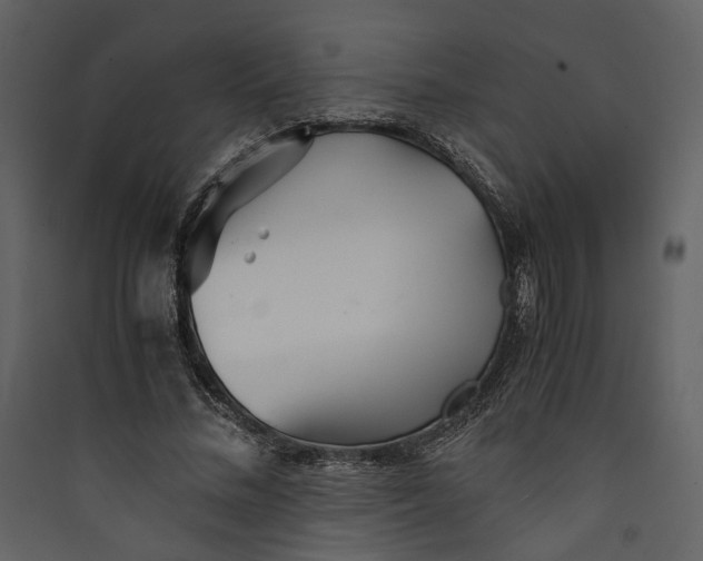 X0000089930684200707131432