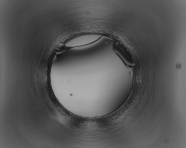 X0000089930685200707131432