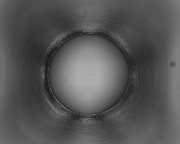 X0000089930686200707131432