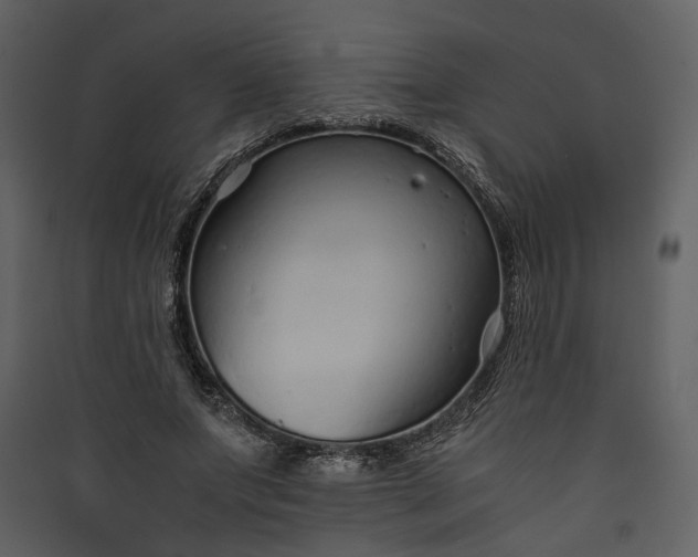 X0000089930687200707131432