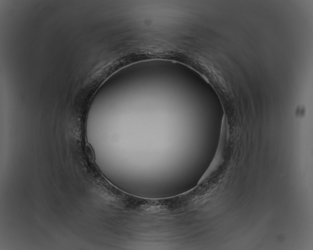 X0000089930689200707131432