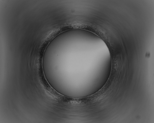 X0000089930690200707131432