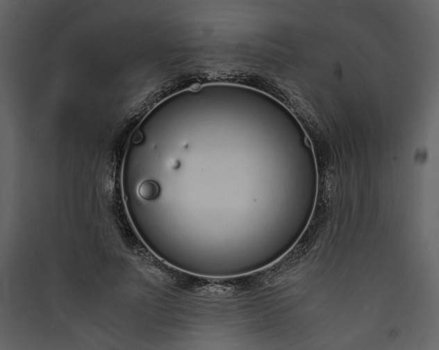 X0000089930691200707131432