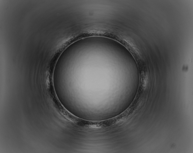 X0000089930692200707131432