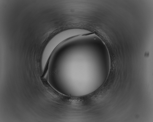 X0000089930693200707131432