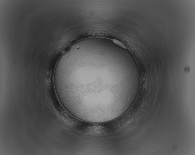 X0000089930695200707131432