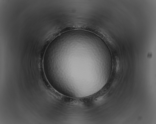 X0000089930696200707131432