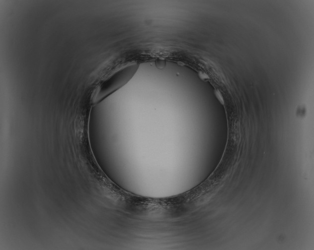 X0000089930697200707131432