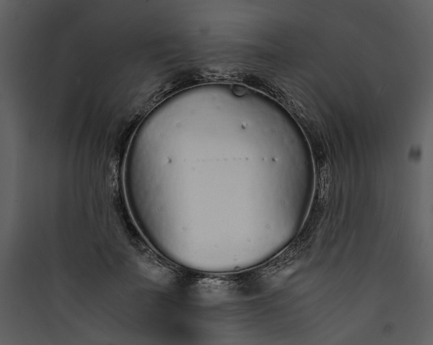 X0000089930699200707131432