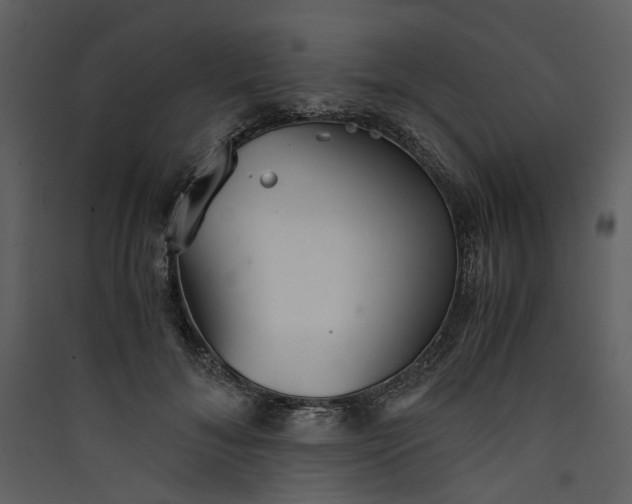 X0000089930700200707131432