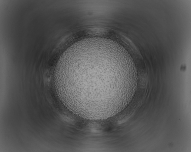 X0000089930701200707131432