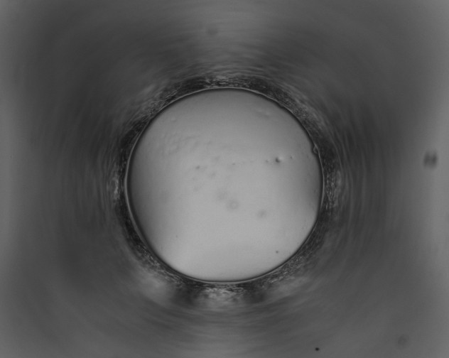 X0000089930703200707131432