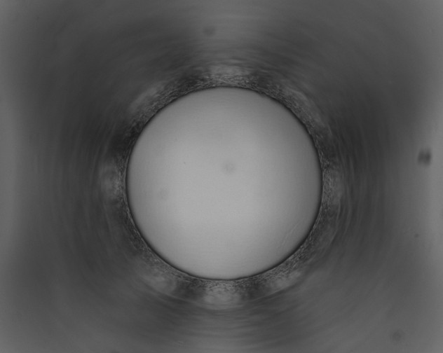 X0000089930705200707131432