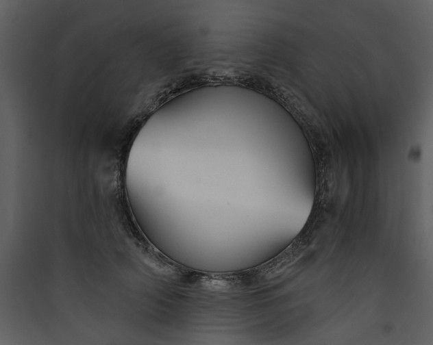 X0000089930706200707131432