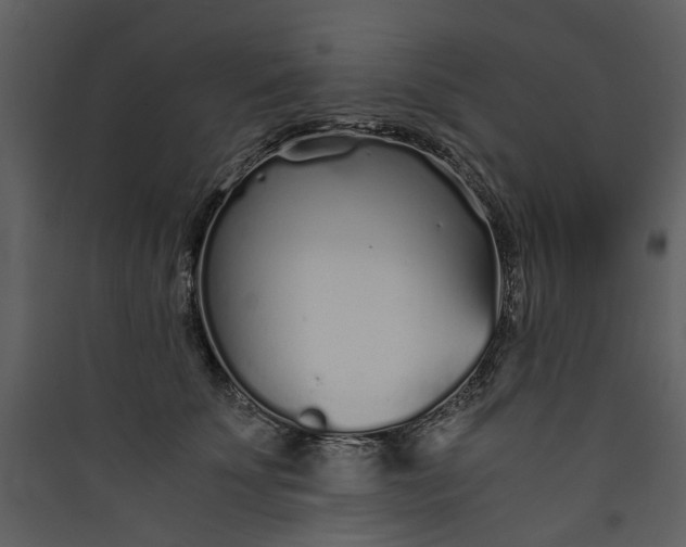 X0000089930707200707131432