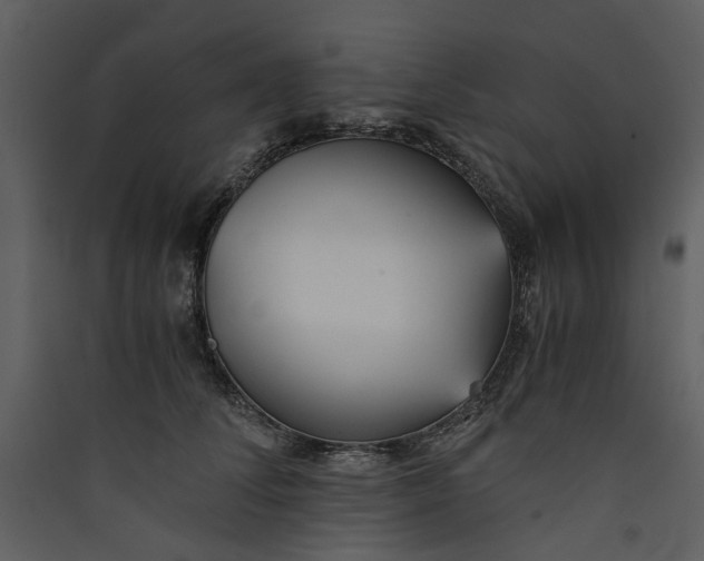 X0000089930708200707131432