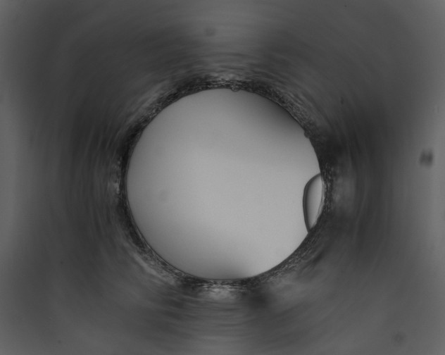 X0000089930710200707131432