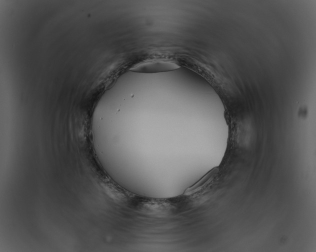 X0000089930712200707131432