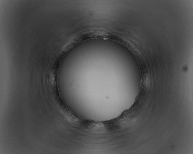 X0000089930715200707131432