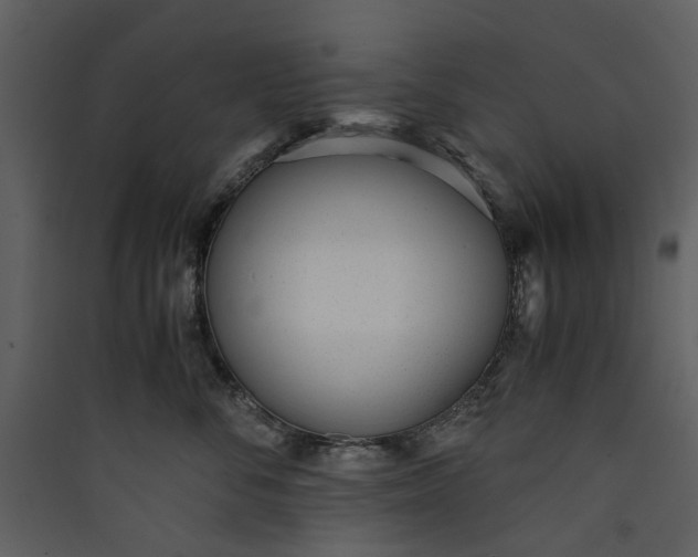 X0000089930716200707131432