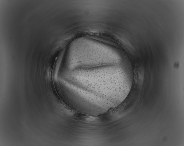 X0000089930718200707131432