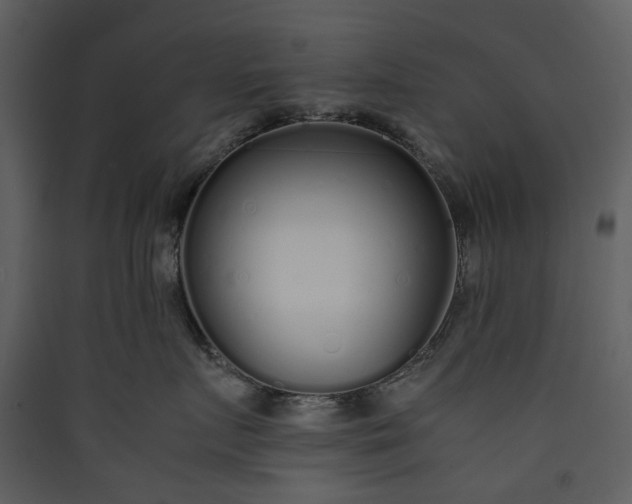 X0000089930719200707131432