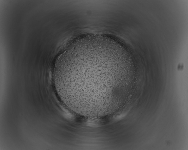 X0000089930720200707131432