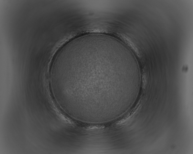 X0000089930721200707131431