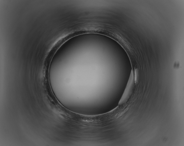 X0000089930723200707131431