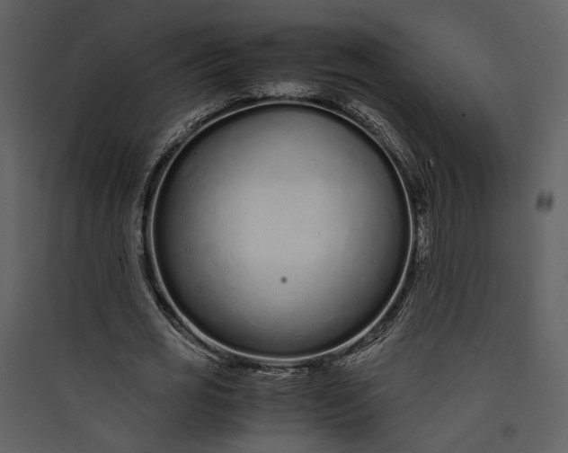 X0000089930725200707131431