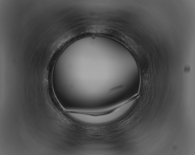 X0000089930727200707131431