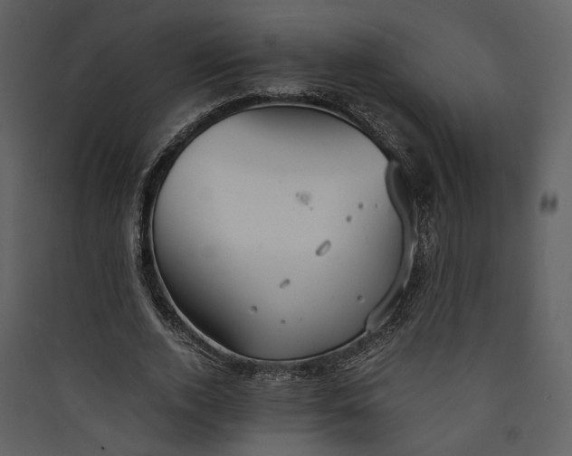 X0000089930728200707131431