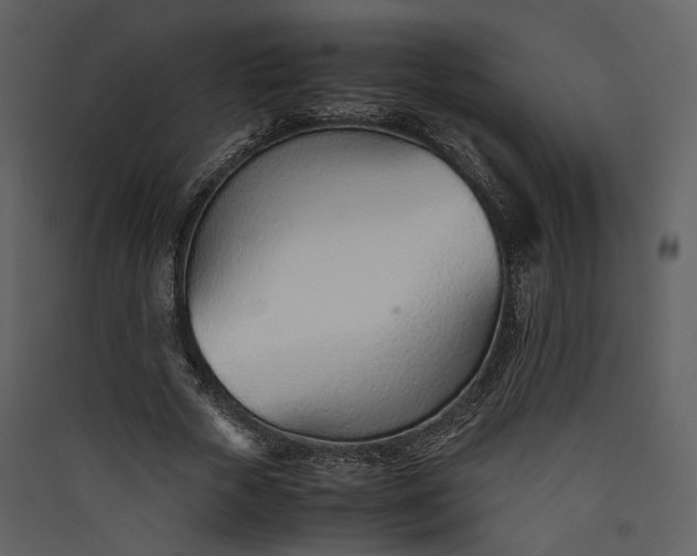 X0000089930729200707131431