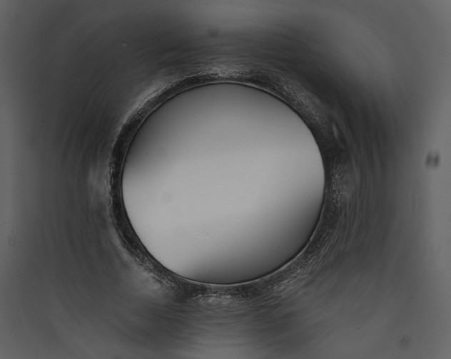 X0000089930730200707131431