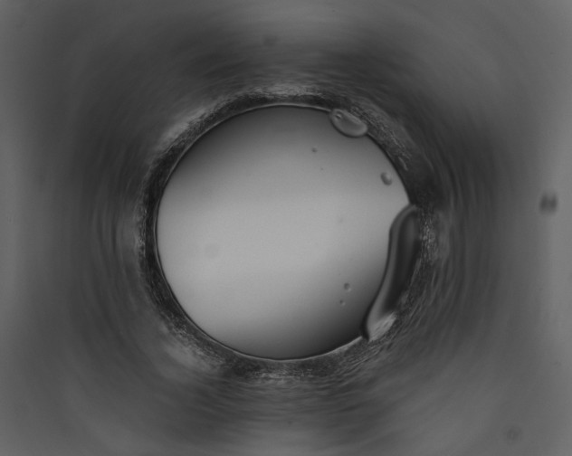 X0000089930732200707131431