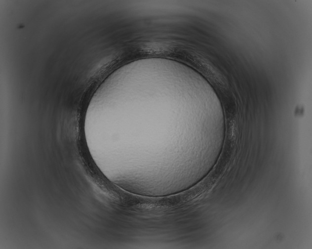 X0000089930733200707131431