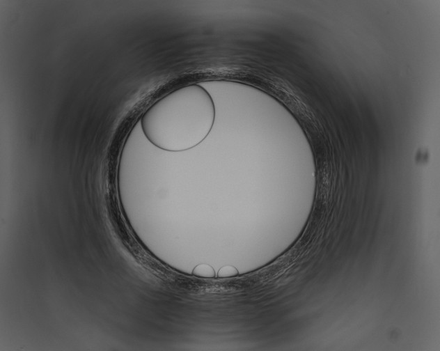 X0000089930734200707131431