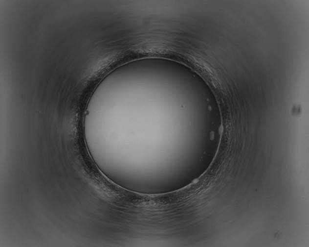 X0000089930735200707131431