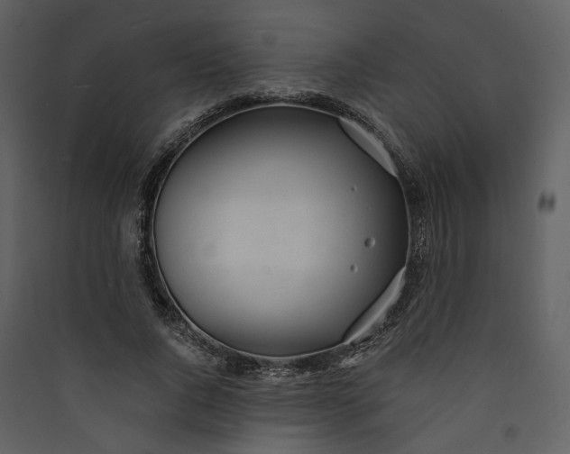 X0000089930736200707131431