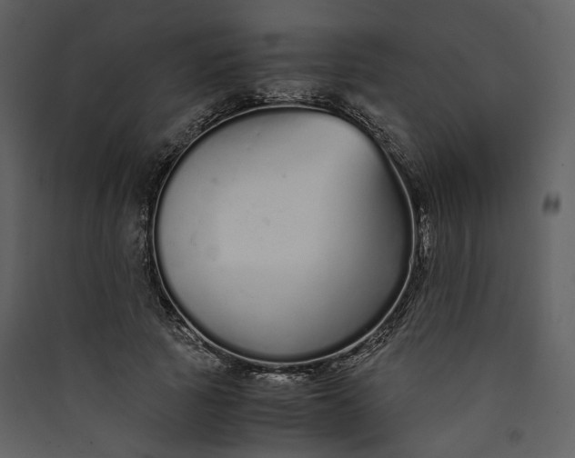 X0000089930737200707131431