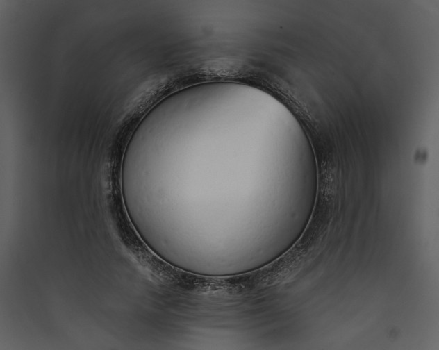 X0000089930738200707131431