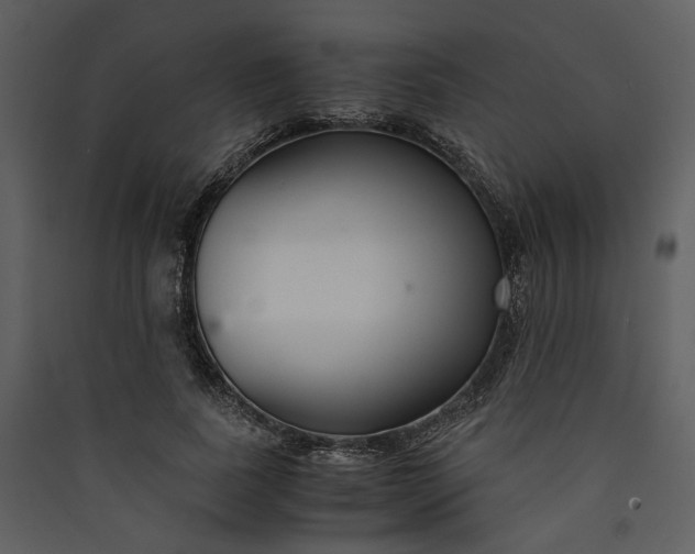 X0000089930739200707131431