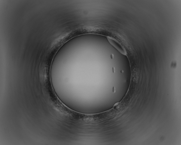 X0000089930740200707131431