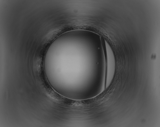 X0000089930742200707131431