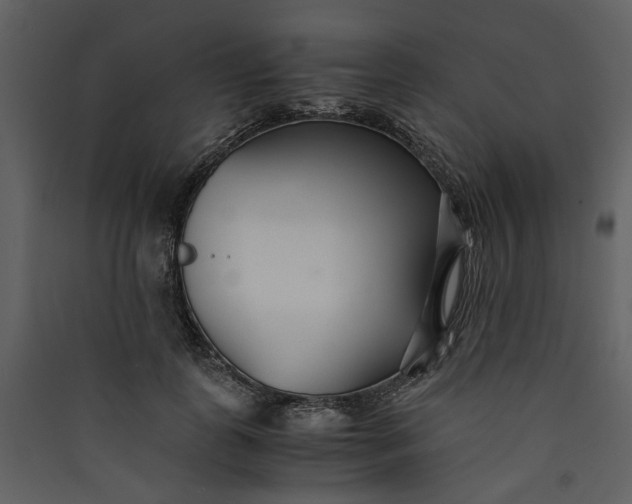 X0000089930747200707131431