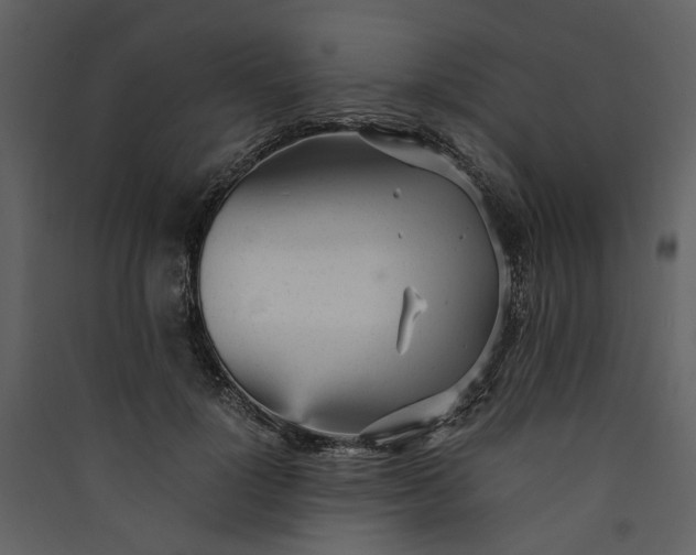 X0000089930748200707131431