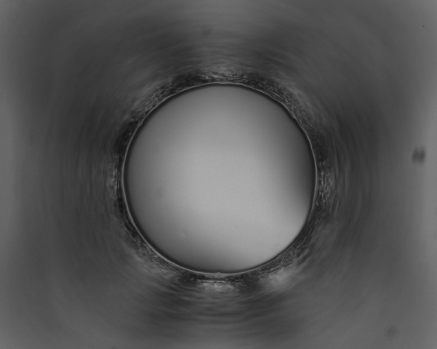 X0000089930749200707131431