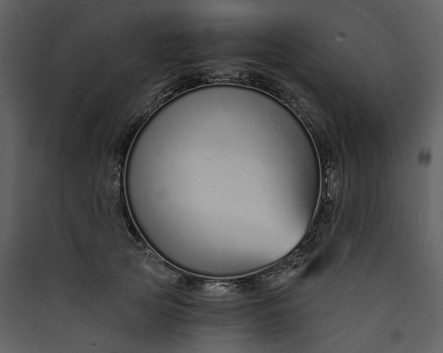 X0000089930753200707131432