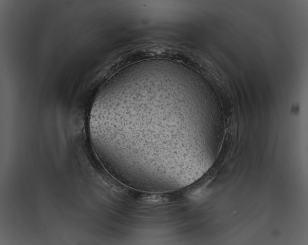 X0000089930754200707131432